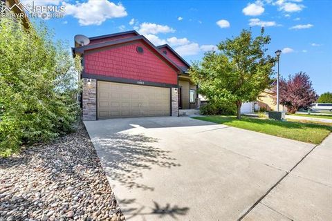 Photo of 10463 Desert Bloom Way, Colorado Springs, CO 80925 (MLS # 1212168)