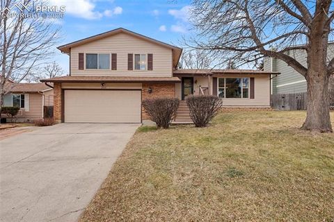 Photo of 3235 Blue Mountain Way, Colorado Springs, CO 80906 (MLS # 7636845)