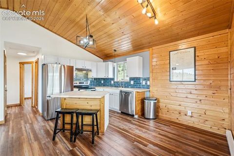 Tiny photo for 14012 Chickasaw Road, Hartsel, CO 80449 (MLS # 8363831)