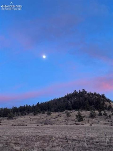 Tiny photo for 14012 Chickasaw Road, Hartsel, CO 80449 (MLS # 8363831)