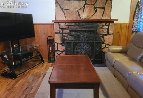 Tiny photo for 706 W Bowman Avenue, Woodland Park, CO 80863 (MLS # 1971901)