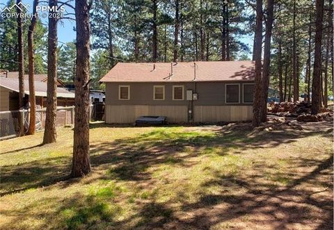 Tiny photo for 706 W Bowman Avenue, Woodland Park, CO 80863 (MLS # 1971901)