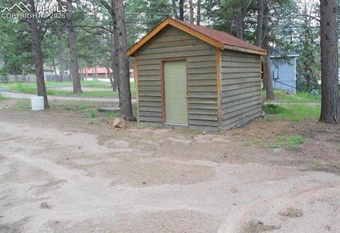 Tiny photo for 706 W Bowman Avenue, Woodland Park, CO 80863 (MLS # 1971901)