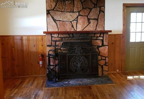 Tiny photo for 706 W Bowman Avenue, Woodland Park, CO 80863 (MLS # 1971901)