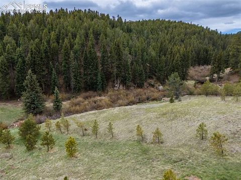 Photo of 521 University Drive, Woodland Park, CO 80863 (MLS # 2707662)