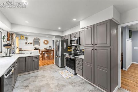 Tiny photo for 1621 Lehmberg Boulevard, Colorado Springs, CO 80915 (MLS # 8452429)