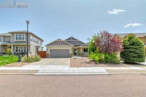 12475 Angelina Drive Peyton CO 80831
