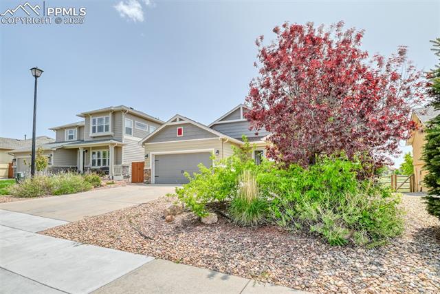 12475 Angelina Drive