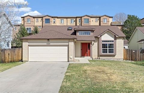 Photo of 4685 Dapple Grey Lane, Colorado Springs, CO 80922 (MLS # 2429616)