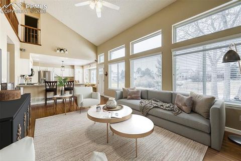 Tiny photo for 160 Holbrook Street, Colorado Springs, CO 80921 (MLS # 2451743)