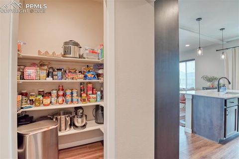 Tiny photo for 493 Marketplace Drive, Calhan, CO 80808 (MLS # 9110391)