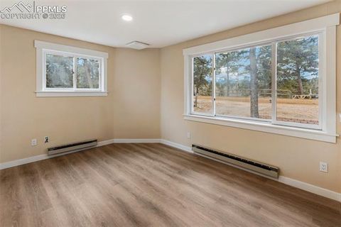 Tiny photo for 35 Illini Drive, Woodland Park, CO 80863 (MLS # 8225056)