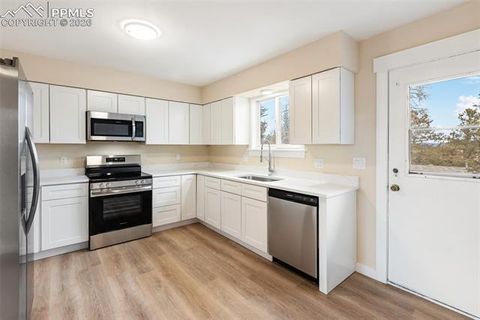 Tiny photo for 35 Illini Drive, Woodland Park, CO 80863 (MLS # 8225056)