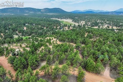 Photo of 39 Reed Drive, Florissant, CO 80816 (MLS # 7506152) Photo of 39 Reed Drive, Florissant, CO 80816 (MLS # 7506152)