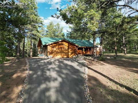 Tiny photo for 170 Druid Trail, Florissant, CO 80814 (MLS # 4457546)