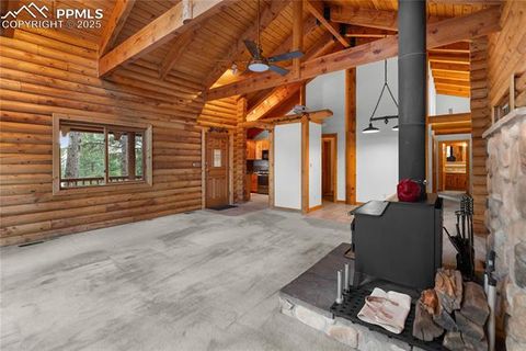 Tiny photo for 170 Druid Trail, Florissant, CO 80814 (MLS # 4457546)