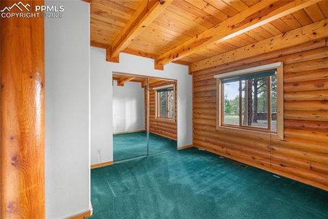 Tiny photo for 170 Druid Trail, Florissant, CO 80814 (MLS # 4457546)
