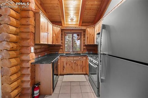 Tiny photo for 170 Druid Trail, Florissant, CO 80814 (MLS # 4457546)