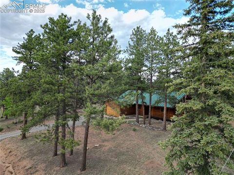 Tiny photo for 170 Druid Trail, Florissant, CO 80814 (MLS # 4457546)