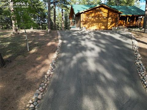 Tiny photo for 170 Druid Trail, Florissant, CO 80814 (MLS # 4457546)