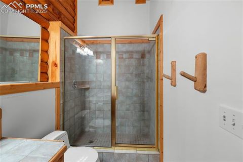 Tiny photo for 170 Druid Trail, Florissant, CO 80814 (MLS # 4457546)