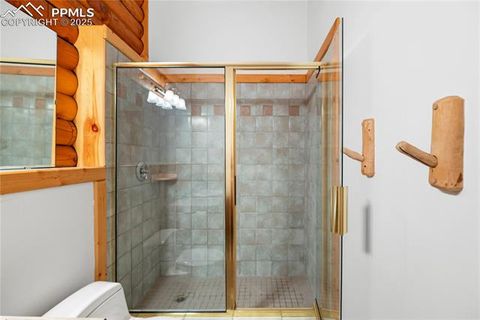 Tiny photo for 170 Druid Trail, Florissant, CO 80814 (MLS # 4457546)