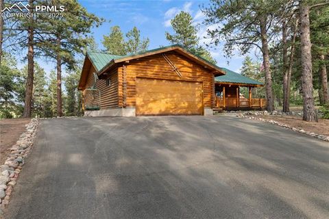 Photo of 170 Druid Trail, Florissant, CO 80814 (MLS # 4457546)