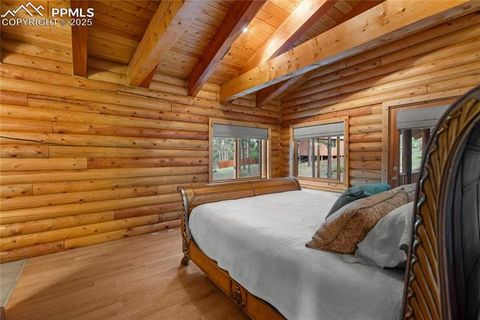 Tiny photo for 170 Druid Trail, Florissant, CO 80814 (MLS # 4457546)