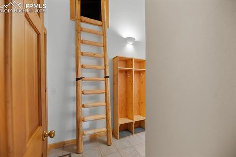 Tiny photo for 170 Druid Trail, Florissant, CO 80814 (MLS # 4457546)