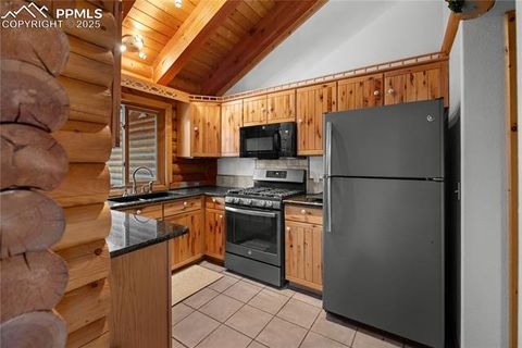 Tiny photo for 170 Druid Trail, Florissant, CO 80814 (MLS # 4457546)