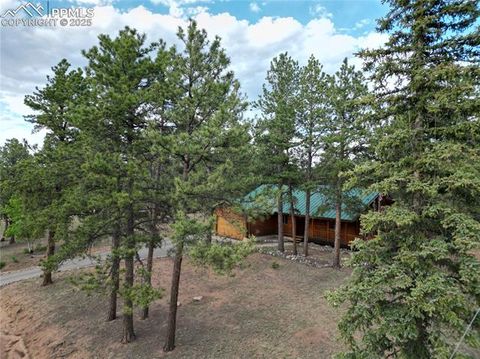 Tiny photo for 170 Druid Trail, Florissant, CO 80814 (MLS # 4457546)