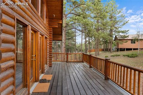 Tiny photo for 170 Druid Trail, Florissant, CO 80814 (MLS # 4457546)