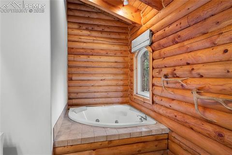 Tiny photo for 170 Druid Trail, Florissant, CO 80814 (MLS # 4457546)