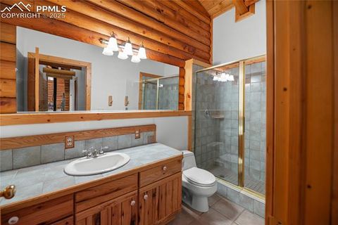 Tiny photo for 170 Druid Trail, Florissant, CO 80814 (MLS # 4457546)
