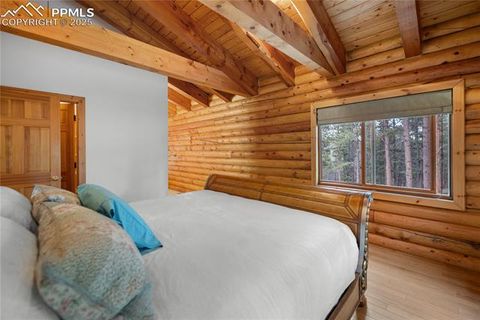 Tiny photo for 170 Druid Trail, Florissant, CO 80814 (MLS # 4457546)