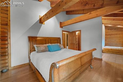 Tiny photo for 170 Druid Trail, Florissant, CO 80814 (MLS # 4457546)