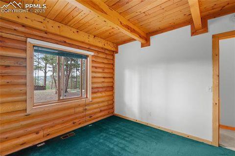 Tiny photo for 170 Druid Trail, Florissant, CO 80814 (MLS # 4457546)