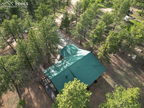 Tiny photo for 170 Druid Trail, Florissant, CO 80814 (MLS # 4457546)