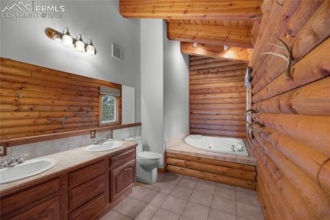 Tiny photo for 170 Druid Trail, Florissant, CO 80814 (MLS # 4457546)
