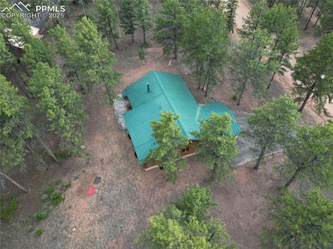 Tiny photo for 170 Druid Trail, Florissant, CO 80814 (MLS # 4457546)