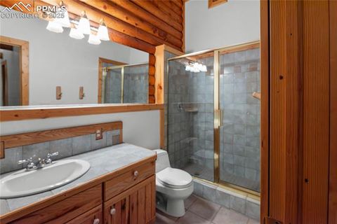 Tiny photo for 170 Druid Trail, Florissant, CO 80814 (MLS # 4457546)