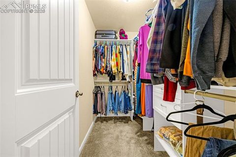 Tiny photo for 11670 Farnese Heights, Peyton, CO 80831 (MLS # 7222662)