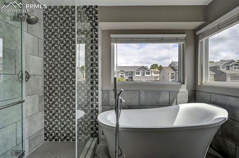 Tiny photo for 2045 Bramblwood Lane, Colorado Springs, CO 80920 (MLS # 8720600)