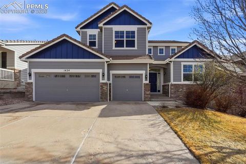 Photo of 1424 Diamond Rim Drive, Colorado Springs, CO 80921 (MLS # 8237399)