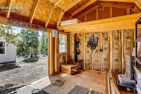 Tiny photo for 386 Prunes Place, Fairplay, CO 80440 (MLS # 7692266)