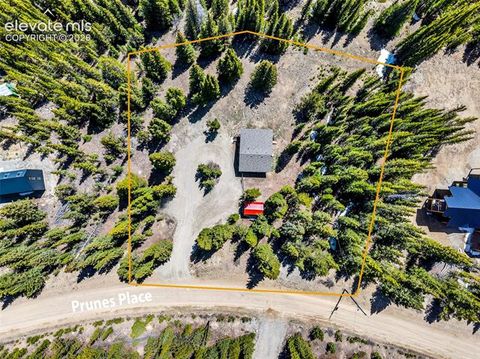 Tiny photo for 386 Prunes Place, Fairplay, CO 80440 (MLS # 7692266)