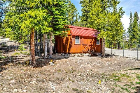 Tiny photo for 386 Prunes Place, Fairplay, CO 80440 (MLS # 7692266)