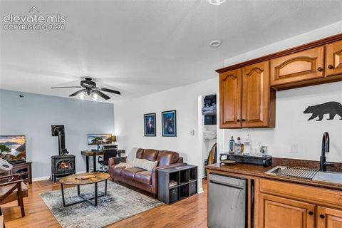 Tiny photo for 386 Prunes Place, Fairplay, CO 80440 (MLS # 7692266)