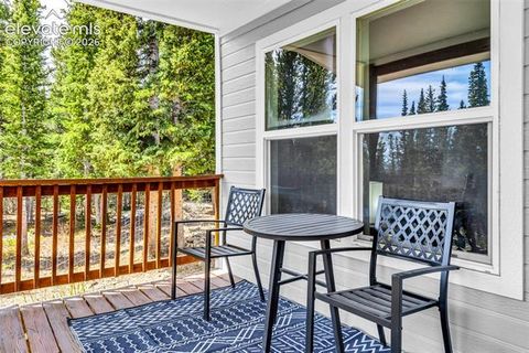Tiny photo for 386 Prunes Place, Fairplay, CO 80440 (MLS # 7692266)