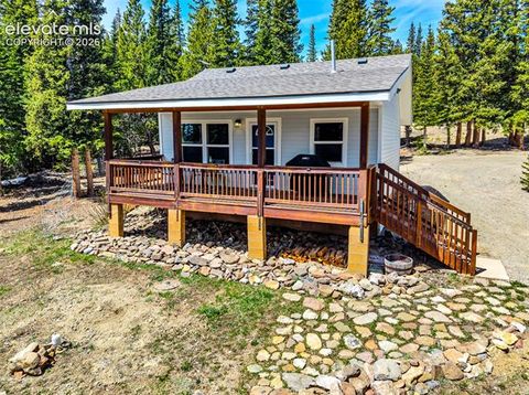 Tiny photo for 386 Prunes Place, Fairplay, CO 80440 (MLS # 7692266)
